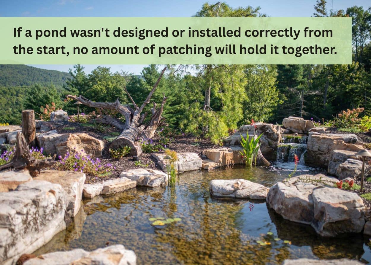 Upgraded backyard pond featuring natural stone, waterfalls, aquatic plants, and professional landscaping.