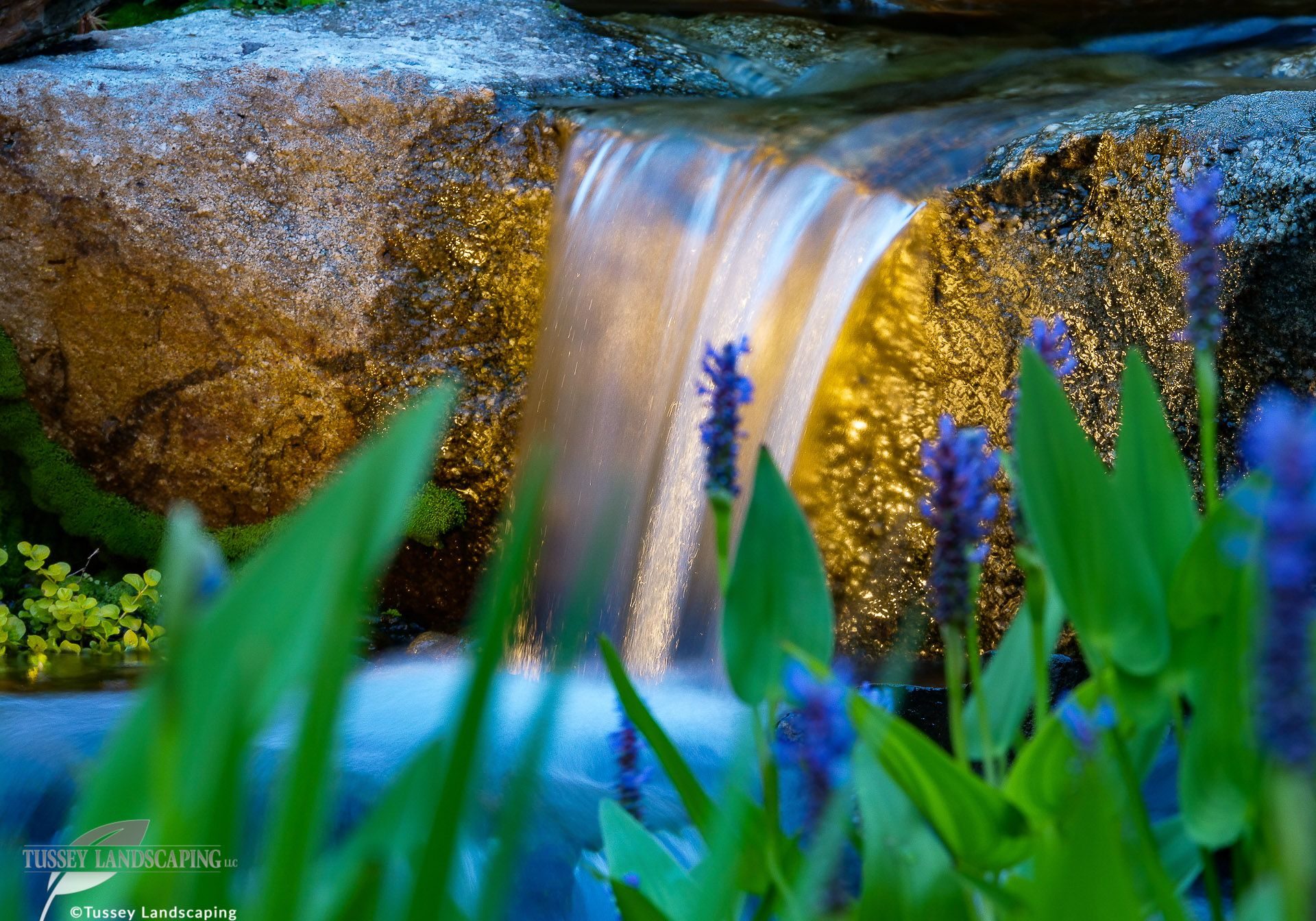 A waterfall in a garden with blue flowers.