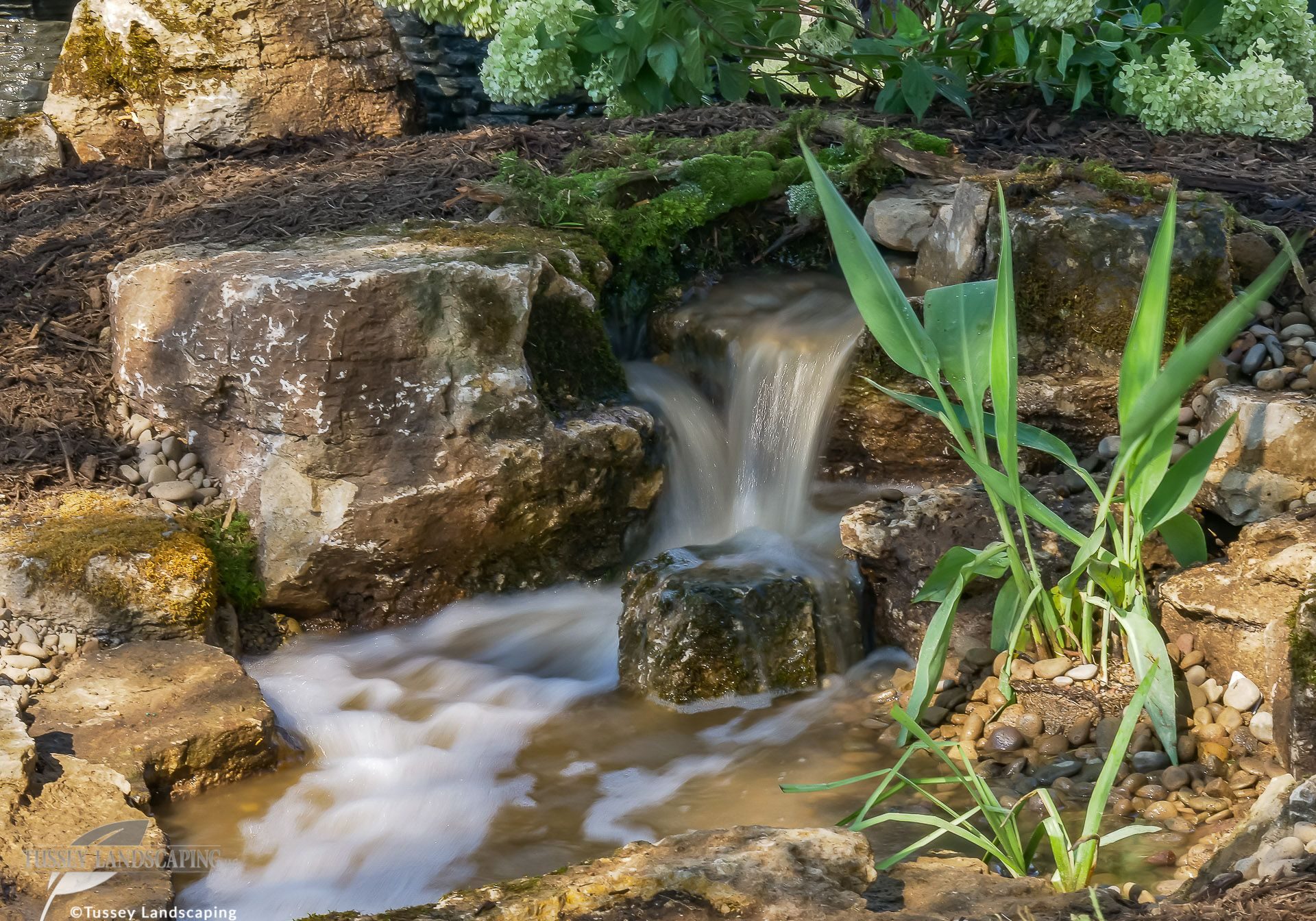 A small waterfall in a garden with rocks and plants.