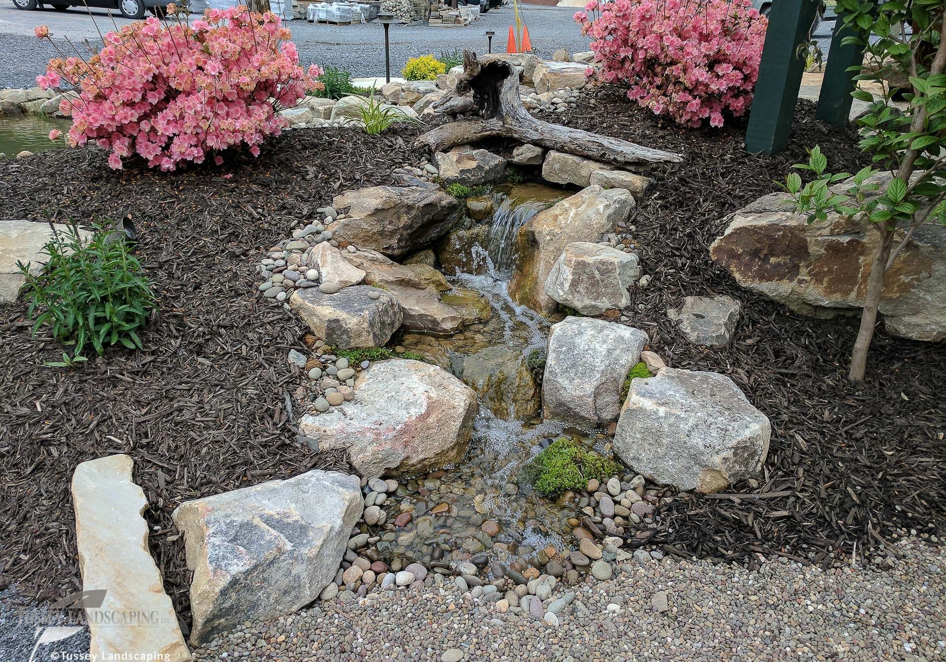 A small stream with rocks and flowers in front of a house.