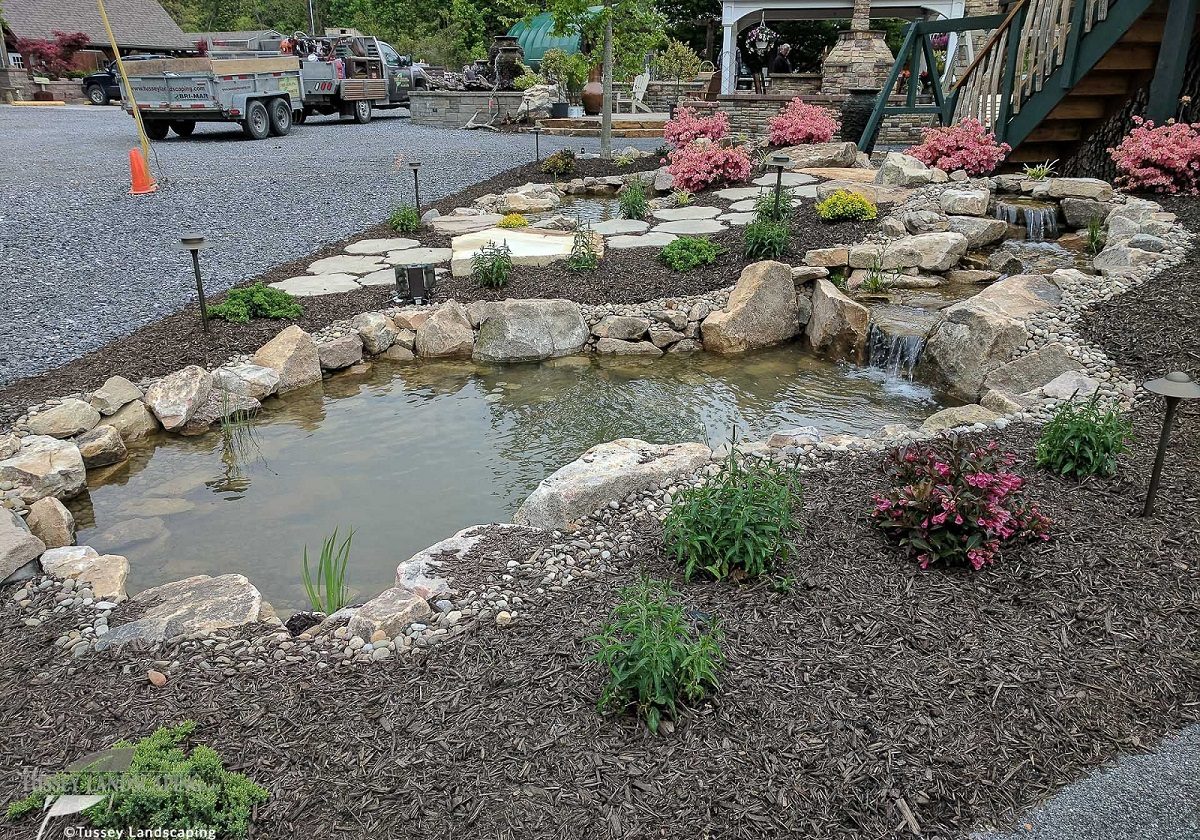A pond with rocks and plants in front of a house.