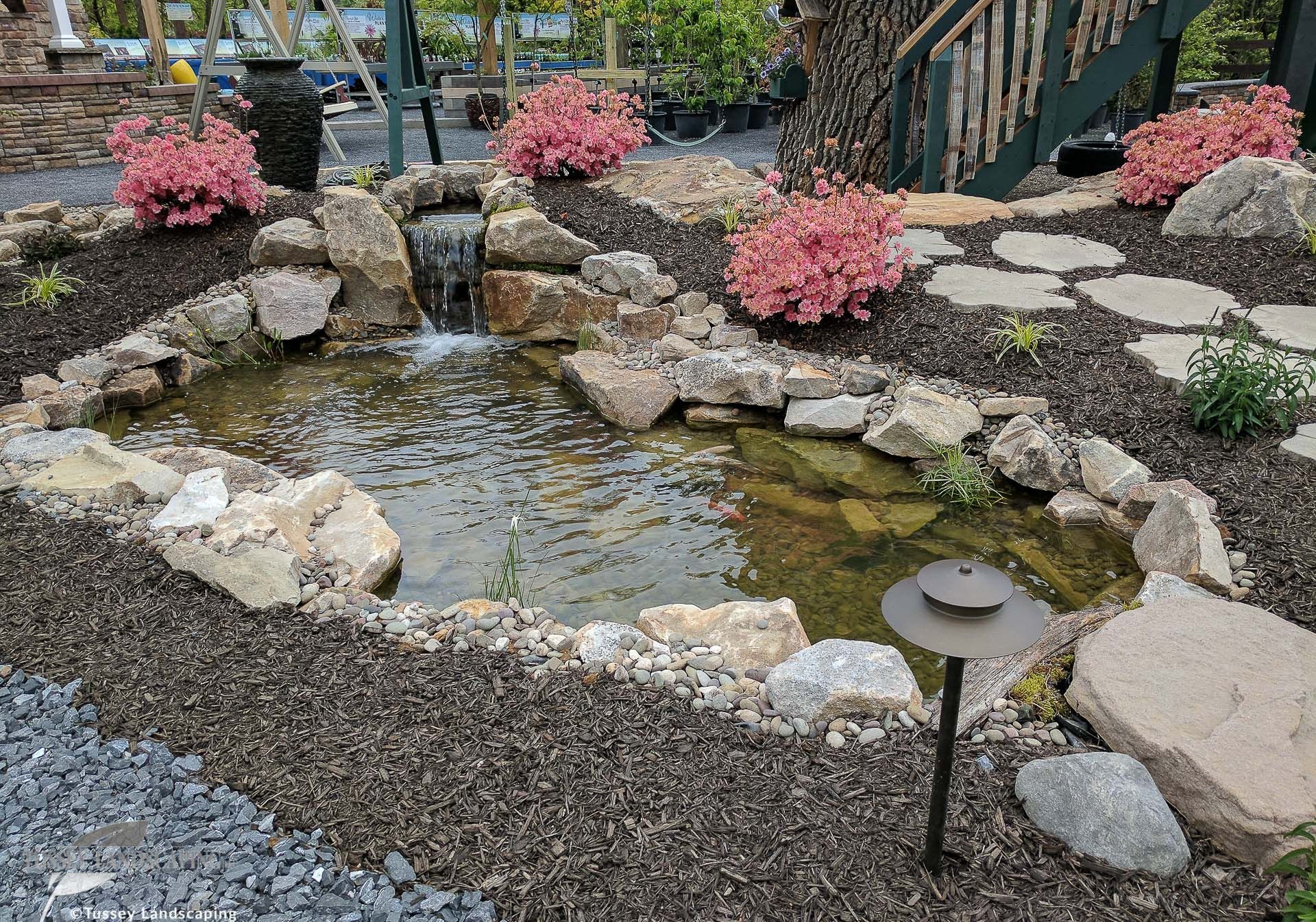 A small pond with rocks and flowers.