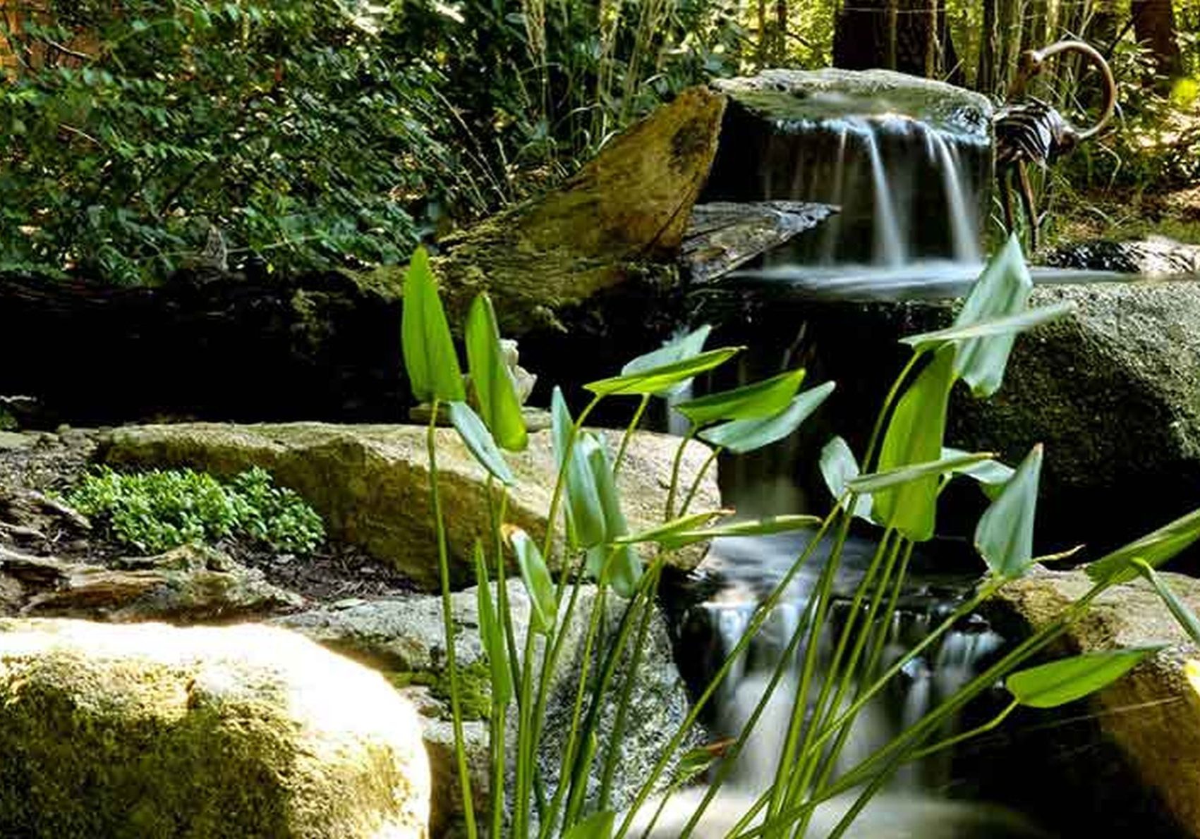 A waterfall in a garden with plants and rocks.