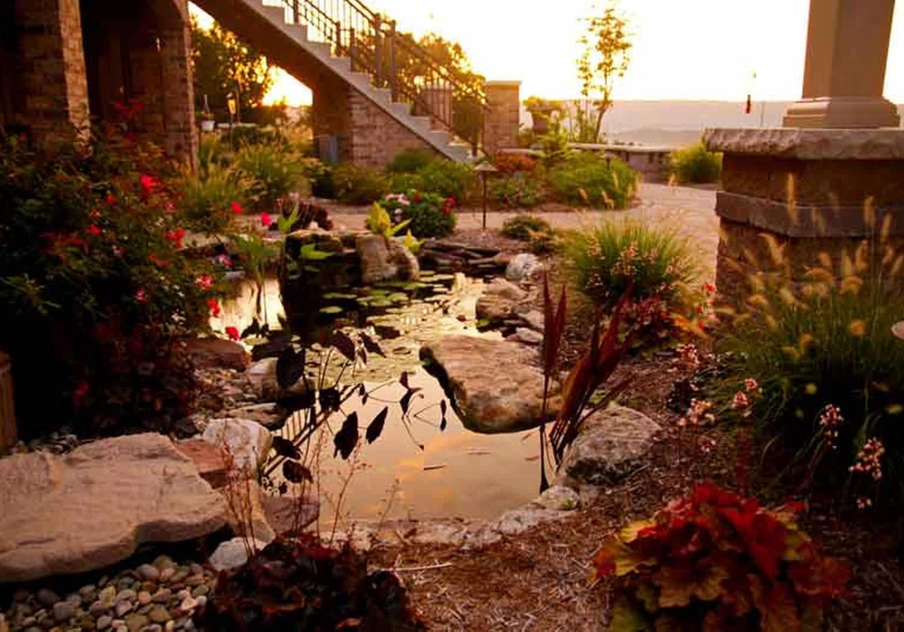 A garden with a pond and rocks at sunset.