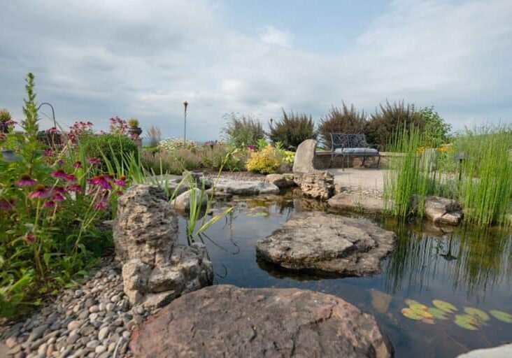 pond off of patio and outdoor living space