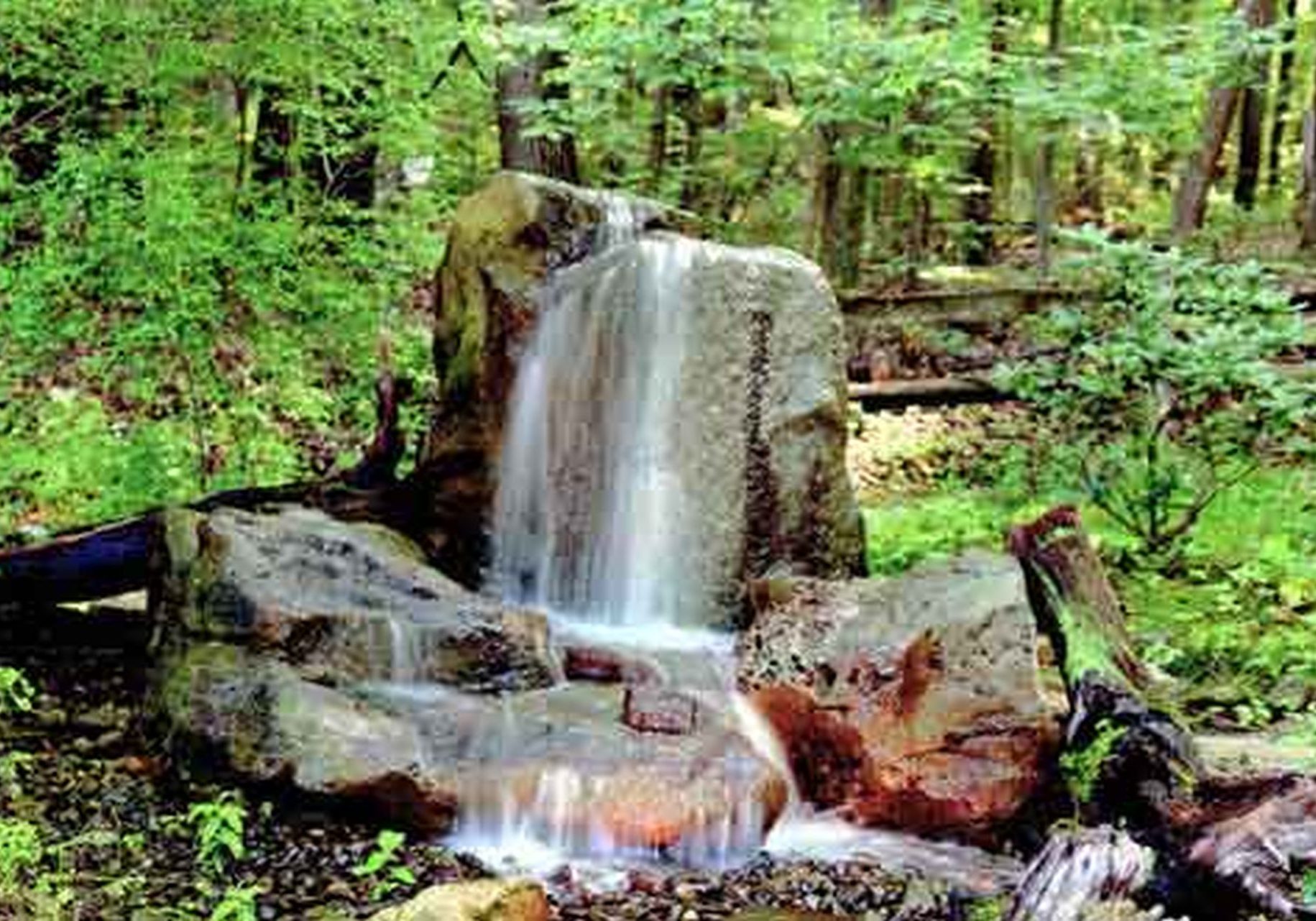 A small waterfall in the middle of a wooded area.