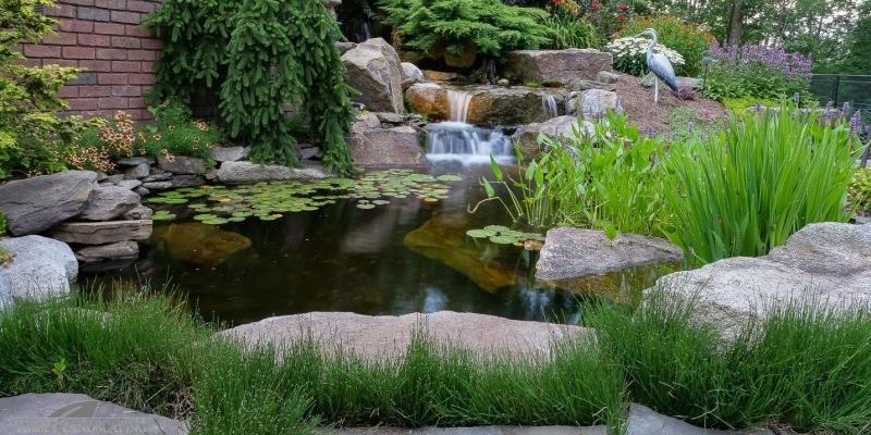 A pond with a waterfall and rocks in the background.